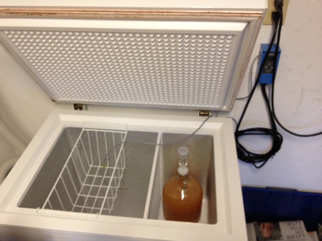Picture of the freezer and cider.